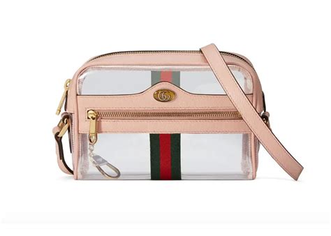 transparent gucci bag